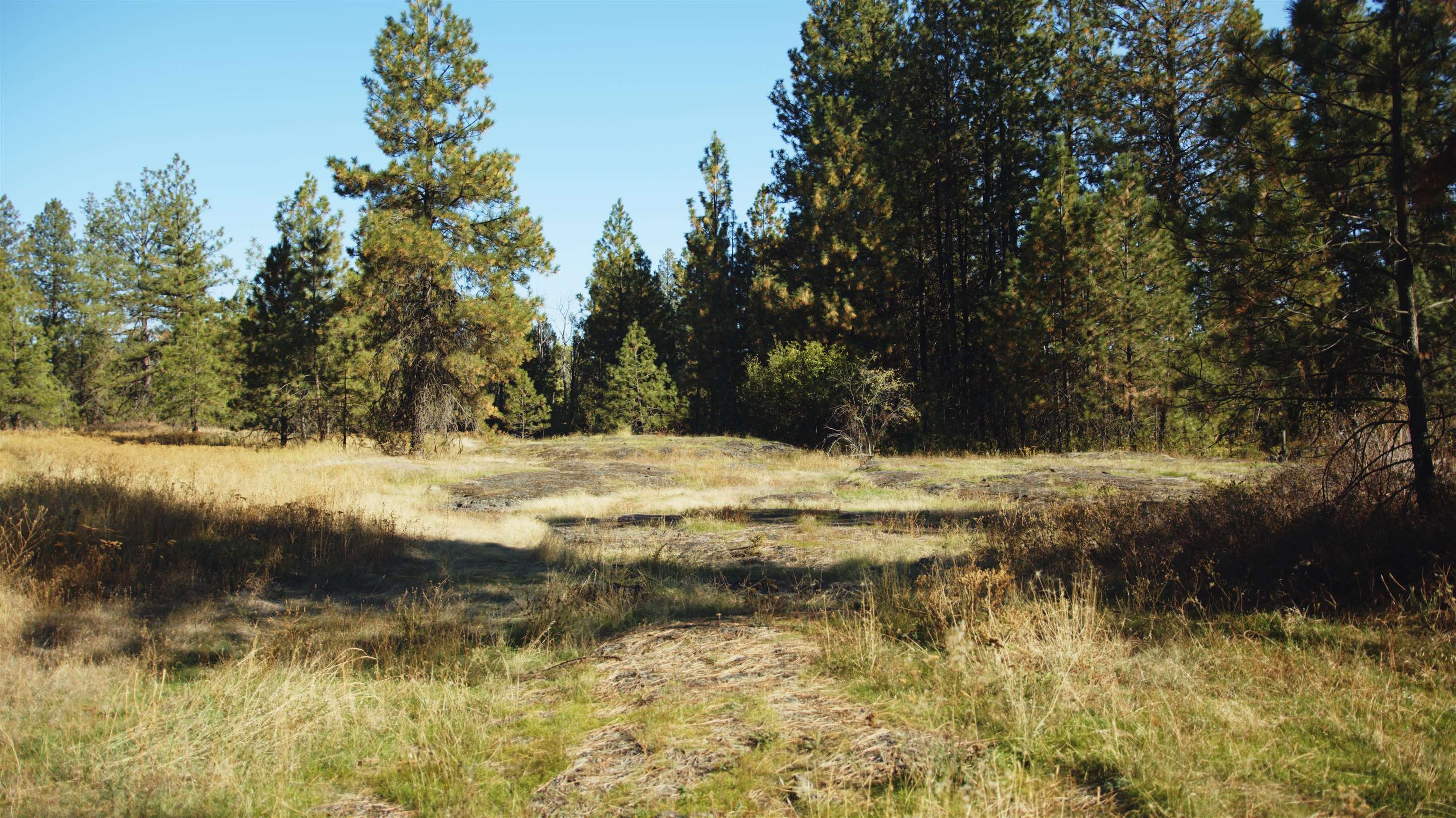 X10 West Deno Road Spokane, WA 99224 - Photo 27 of 29
