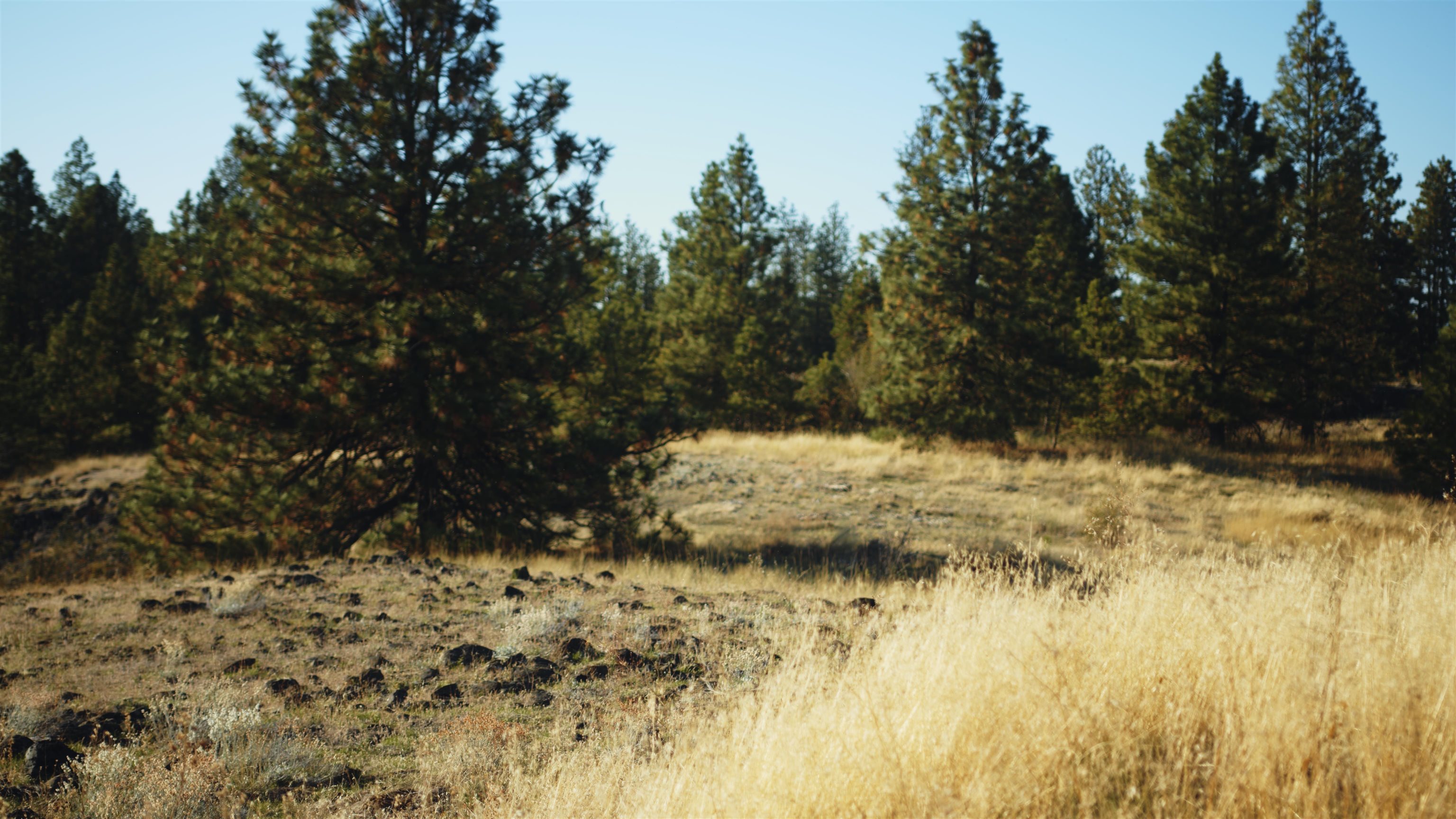 X10 West Deno Road Spokane, WA 99224 - Photo 28 of 29