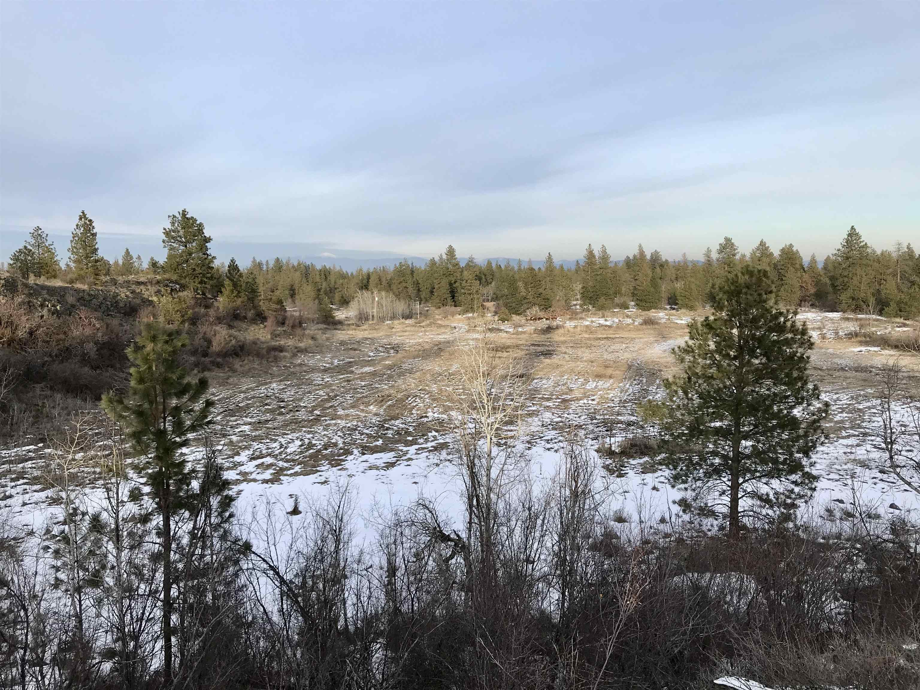 X10 West Deno Road Spokane, WA 99224 - Photo 6 of 29