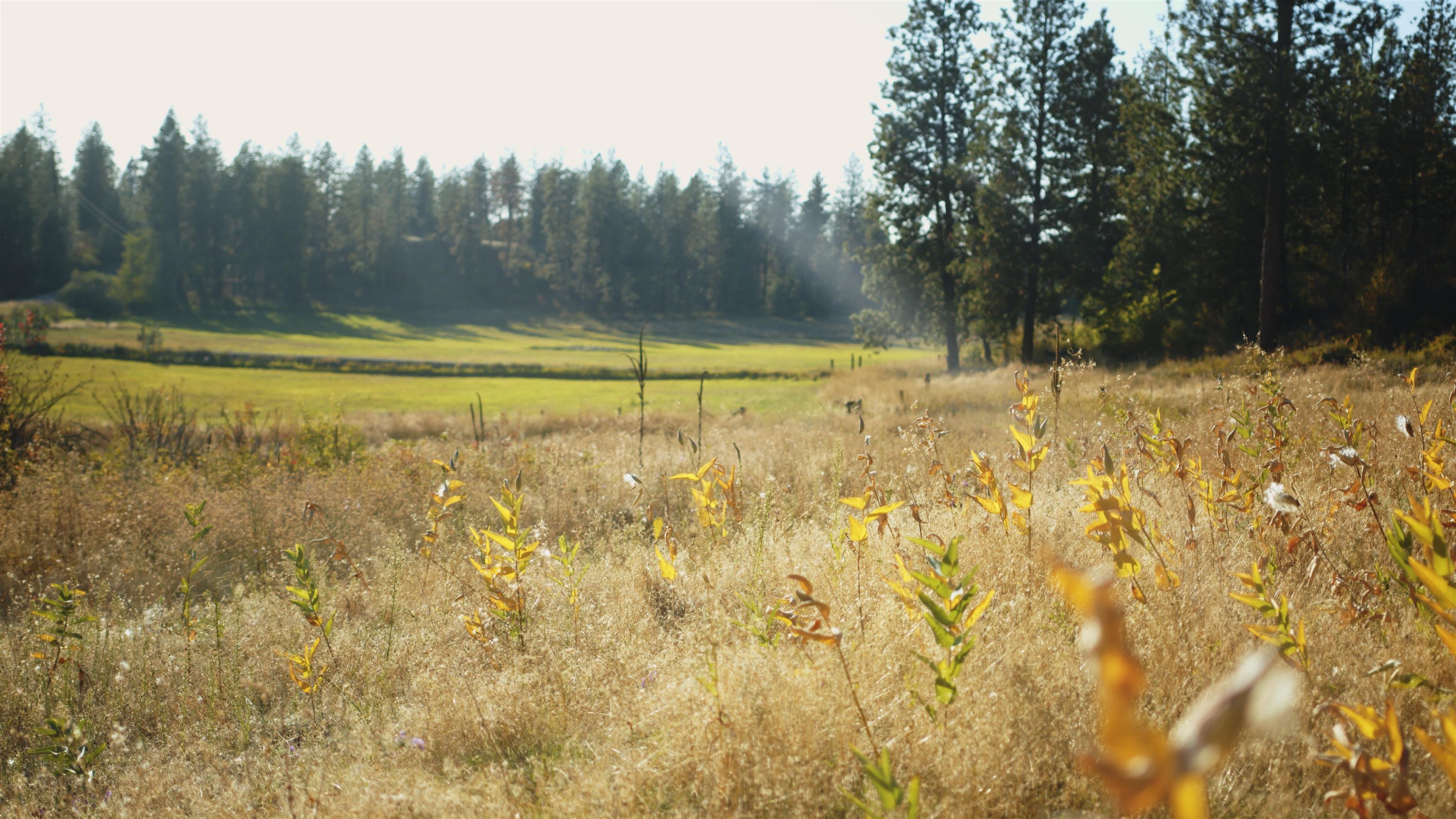 X10 West Deno Road Spokane, WA 99224 - Photo 9 of 29