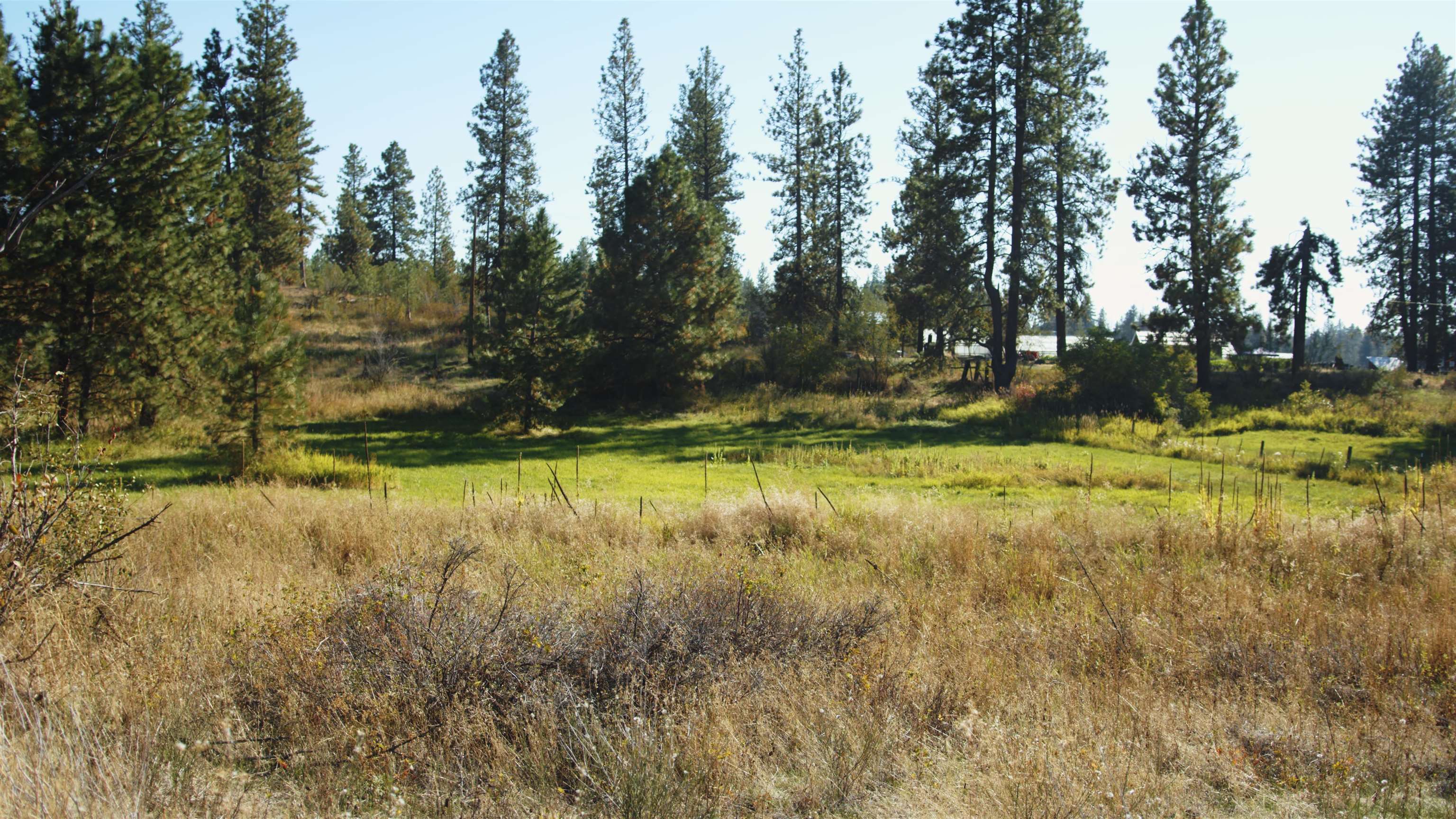 X10 West Deno Road Spokane, WA 99224 - Photo 10 of 29
