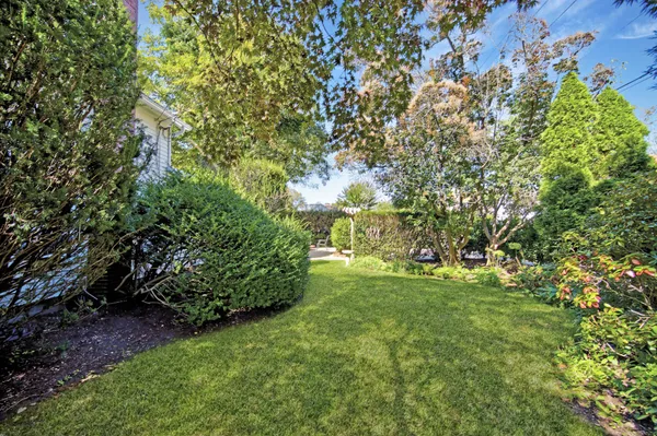 a view of yard with green space