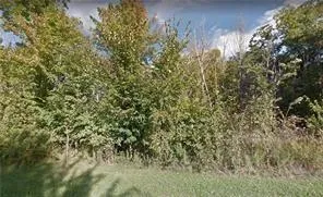a view of a yard