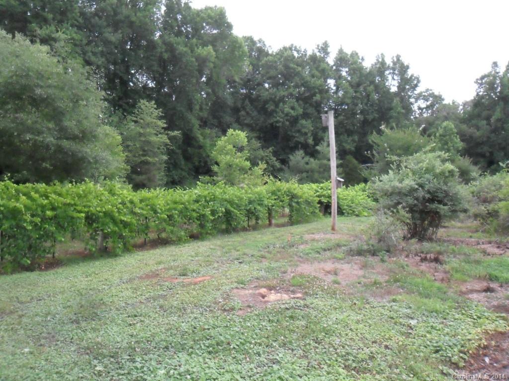 5591 Crouse Road Crouse, NC 28033 - Photo 19 of 21 Gallery Image 19