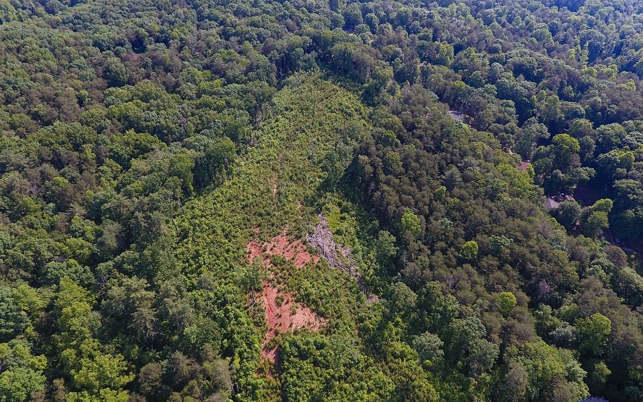 15.13 Craigtown Road Ellijay, GA 30540 - Photo 1 of 1 Main View