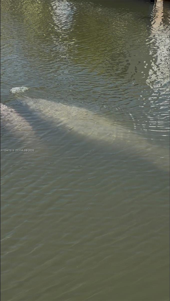 11 Flamingo Road Key Largo, FL 33037 - Photo 3 of 37