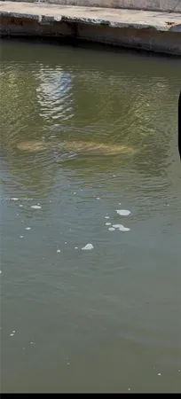 $5,000 | 11 Flamingo Road, Key Largo, FL 33037