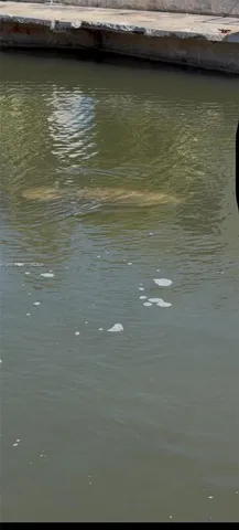 $5,300 | 11 Flamingo Road, Key Largo, FL 33037