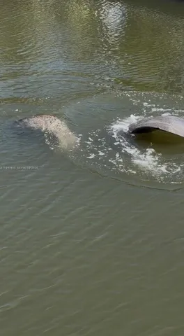 $5,300 | 11 Flamingo Road, Key Largo, FL 33037