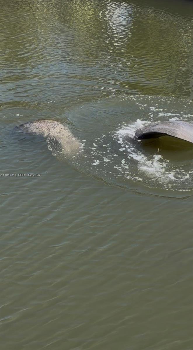 11 Flamingo Road Key Largo, FL 33037 - Photo 36 of 37