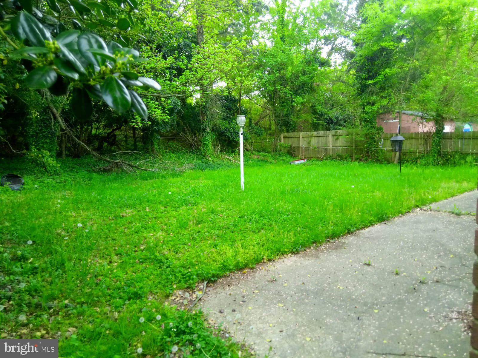 3406 Janet Road Silver Spring, MD 20906 - Photo 3 of 5