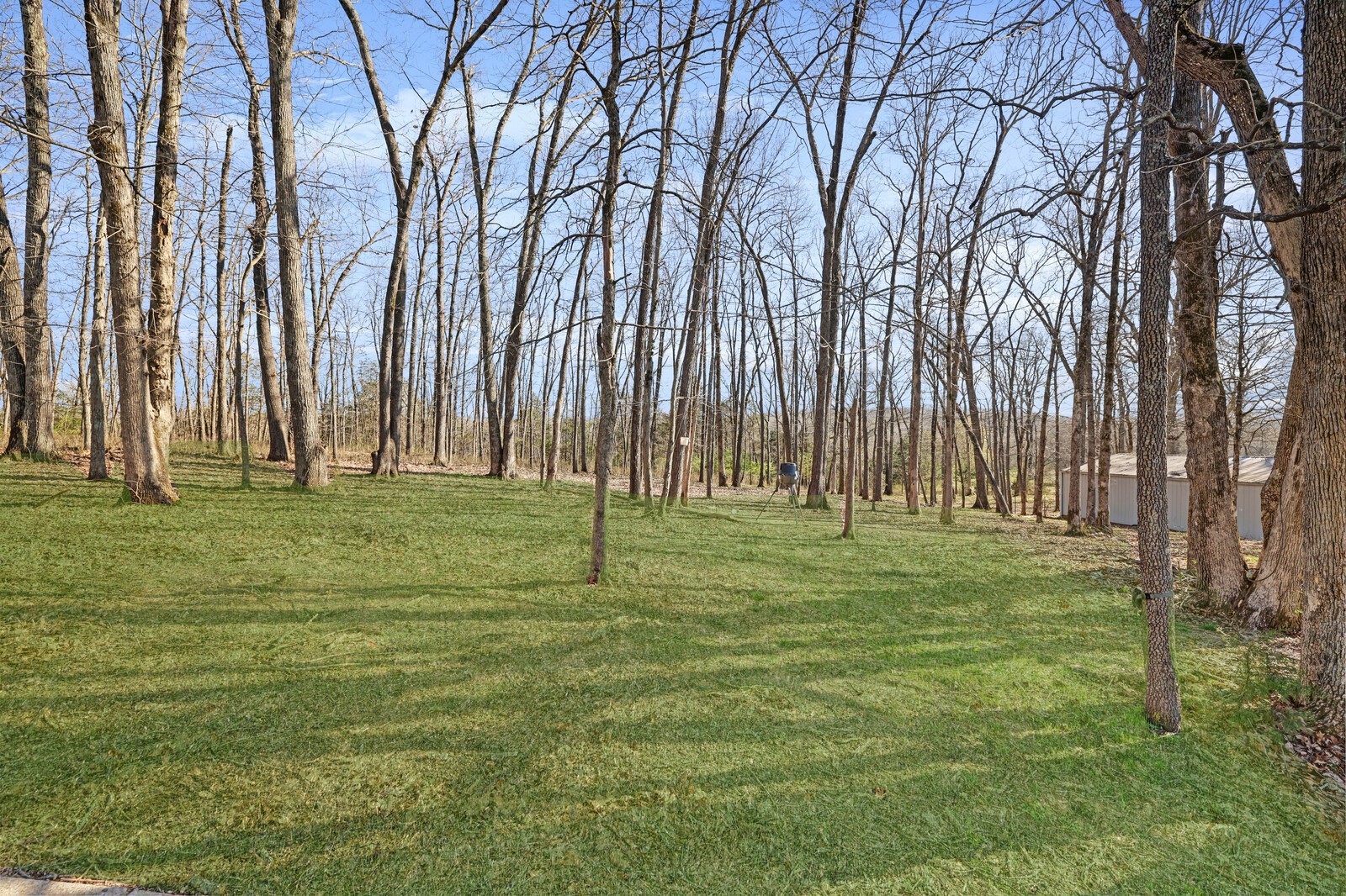 2123 Kidd Road Nolensville, TN 37135 - Photo 54 of 65 Gallery Image 54