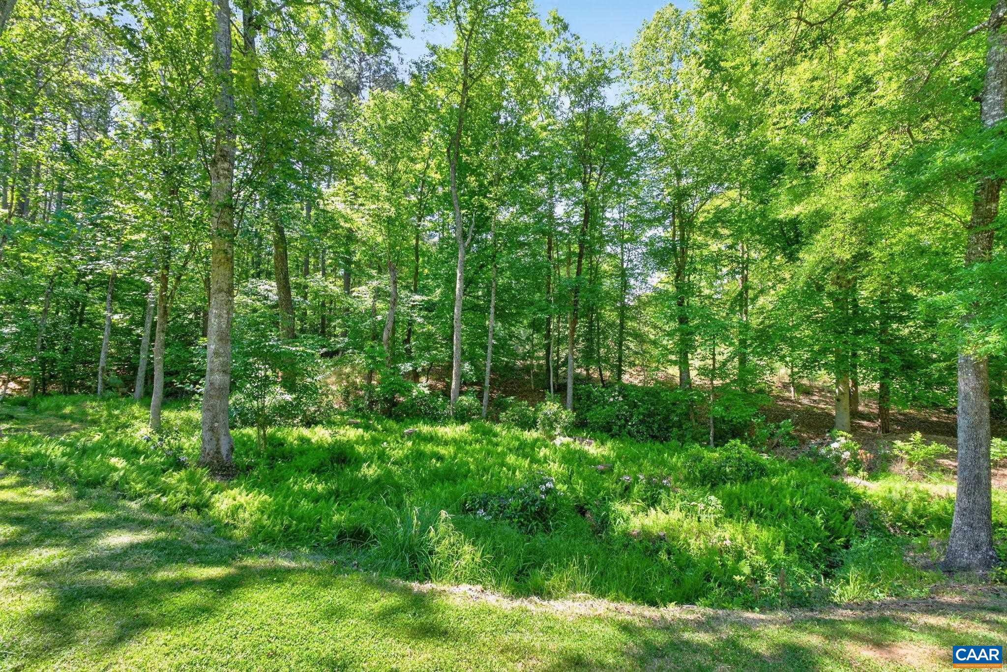 504 Willow Ridge Road Troy, VA 22974 - Photo 34 of 35