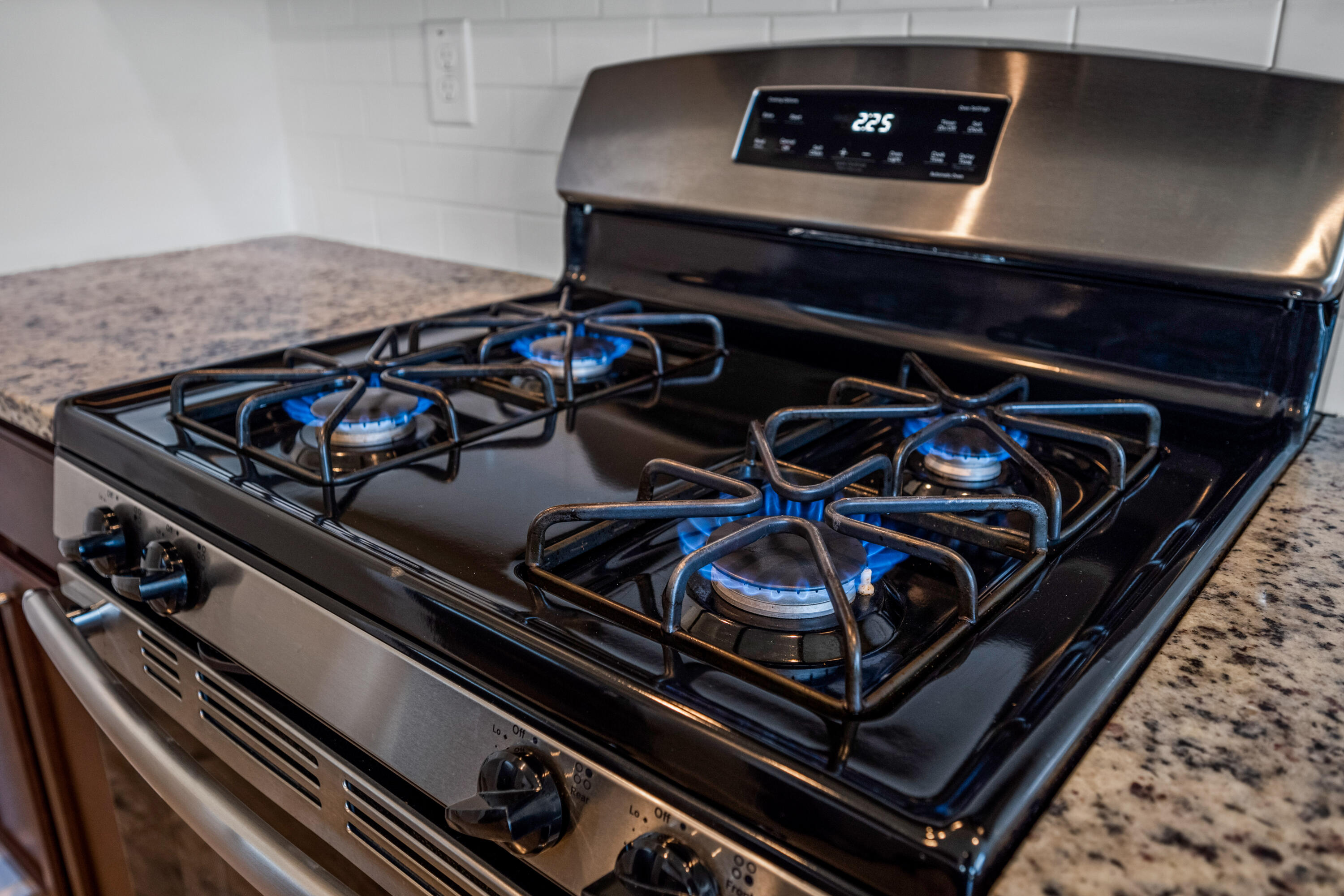 785 Redbud Lane Summerville, SC 29486 - Photo 8 of 45 GAS RANGE