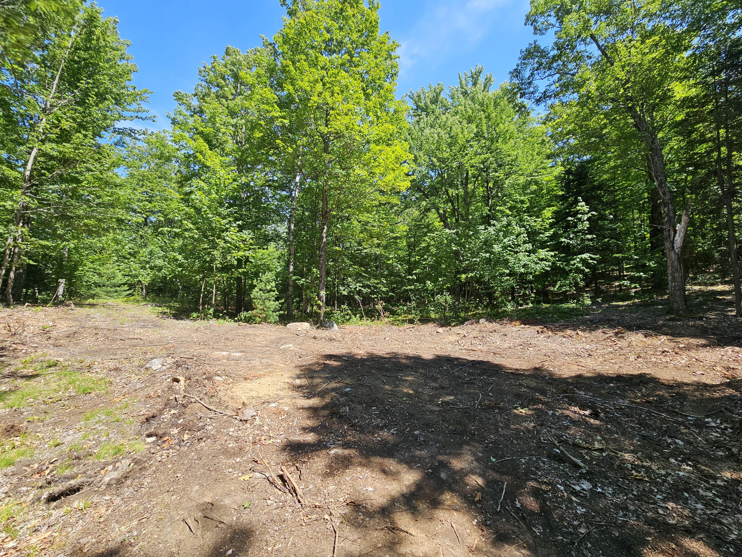 106 Maple Rdg Way Keene, NY 12942 - Photo 8 of 13