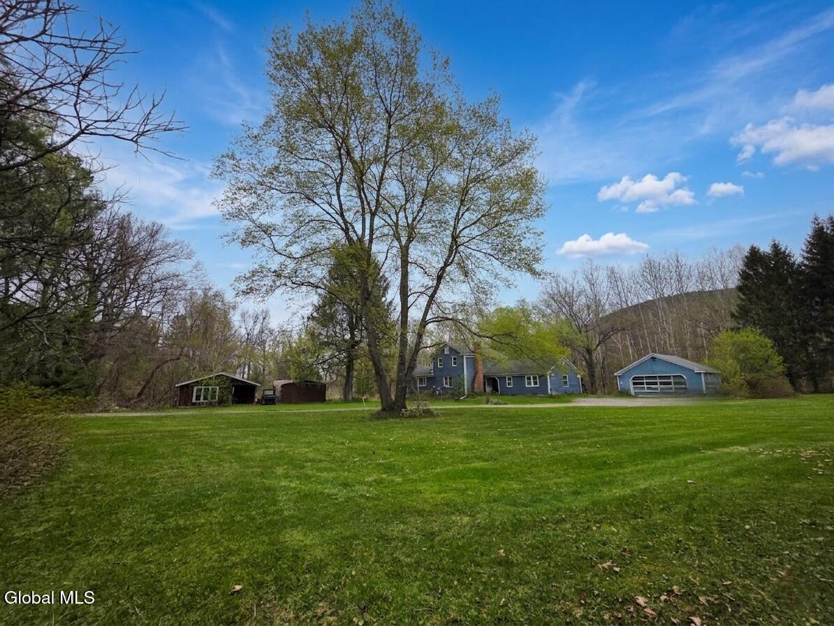 20134 Highway 22 Petersburgh, NY 12138 - Photo 6 of 23 Large Yard