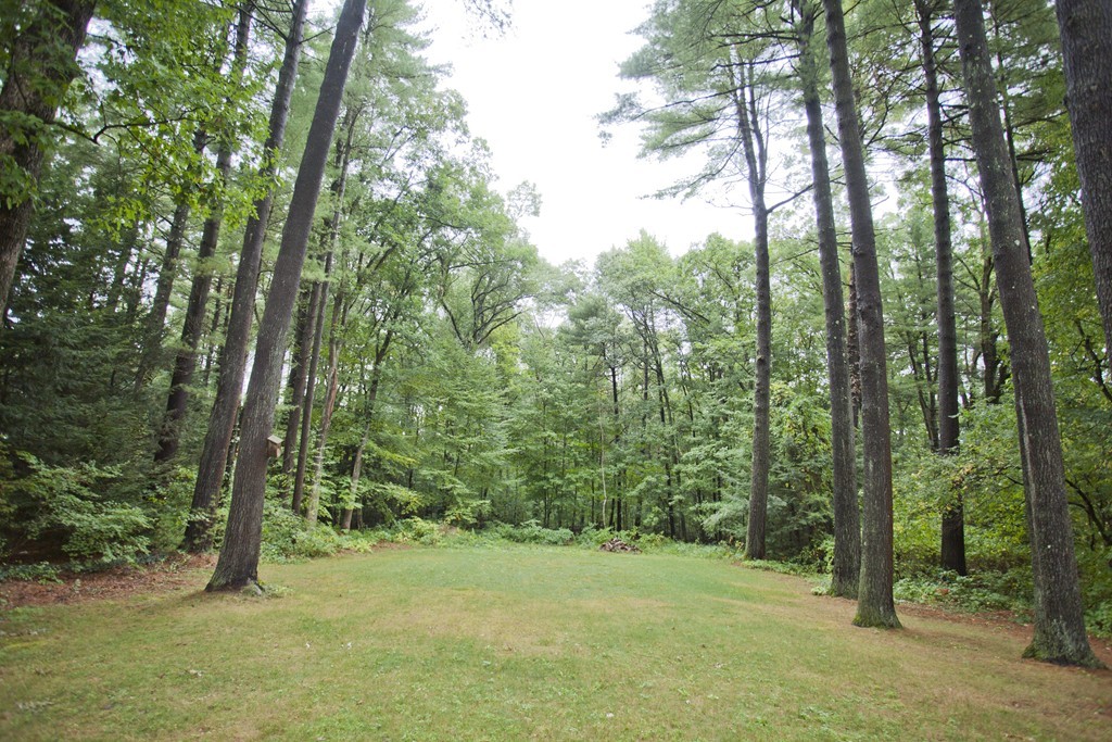 573 Westhampton Road Northampton, MA 01062 - Photo 5 of 30 a view of a forest with trees