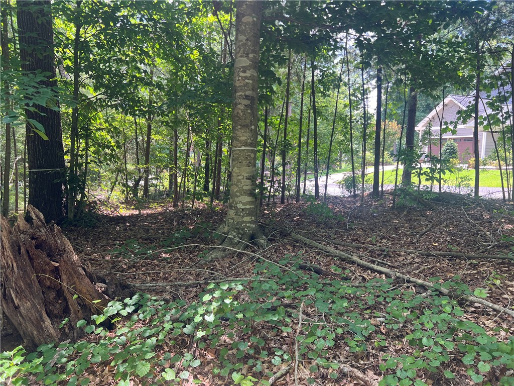 0 Promontory Ridge, Unit LOT 45 STILLWATER Seneca, SC 29672 - Photo 11 of 26