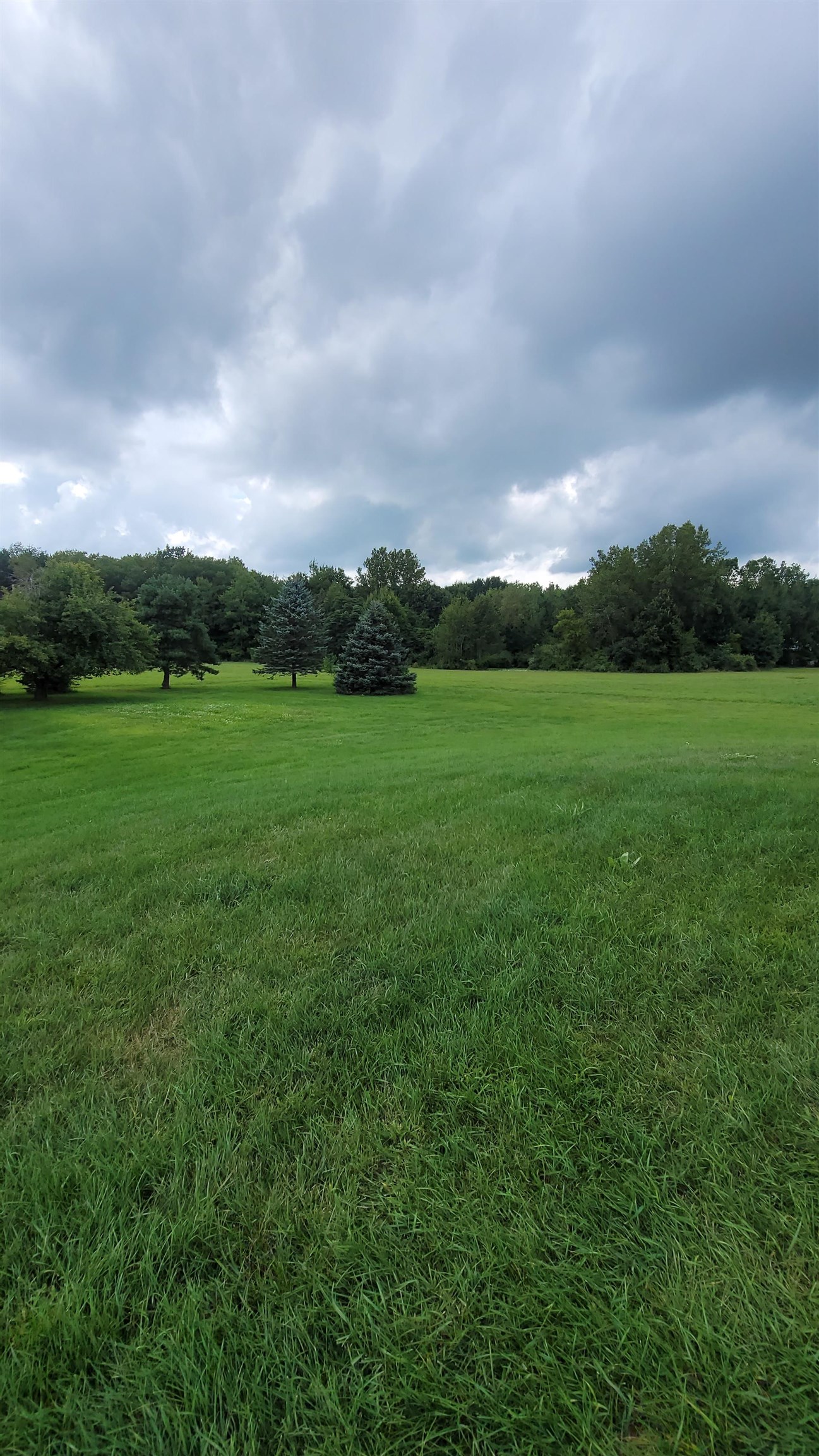 8514 Arbela Road Millington, MI 48746 - Photo 17 of 24