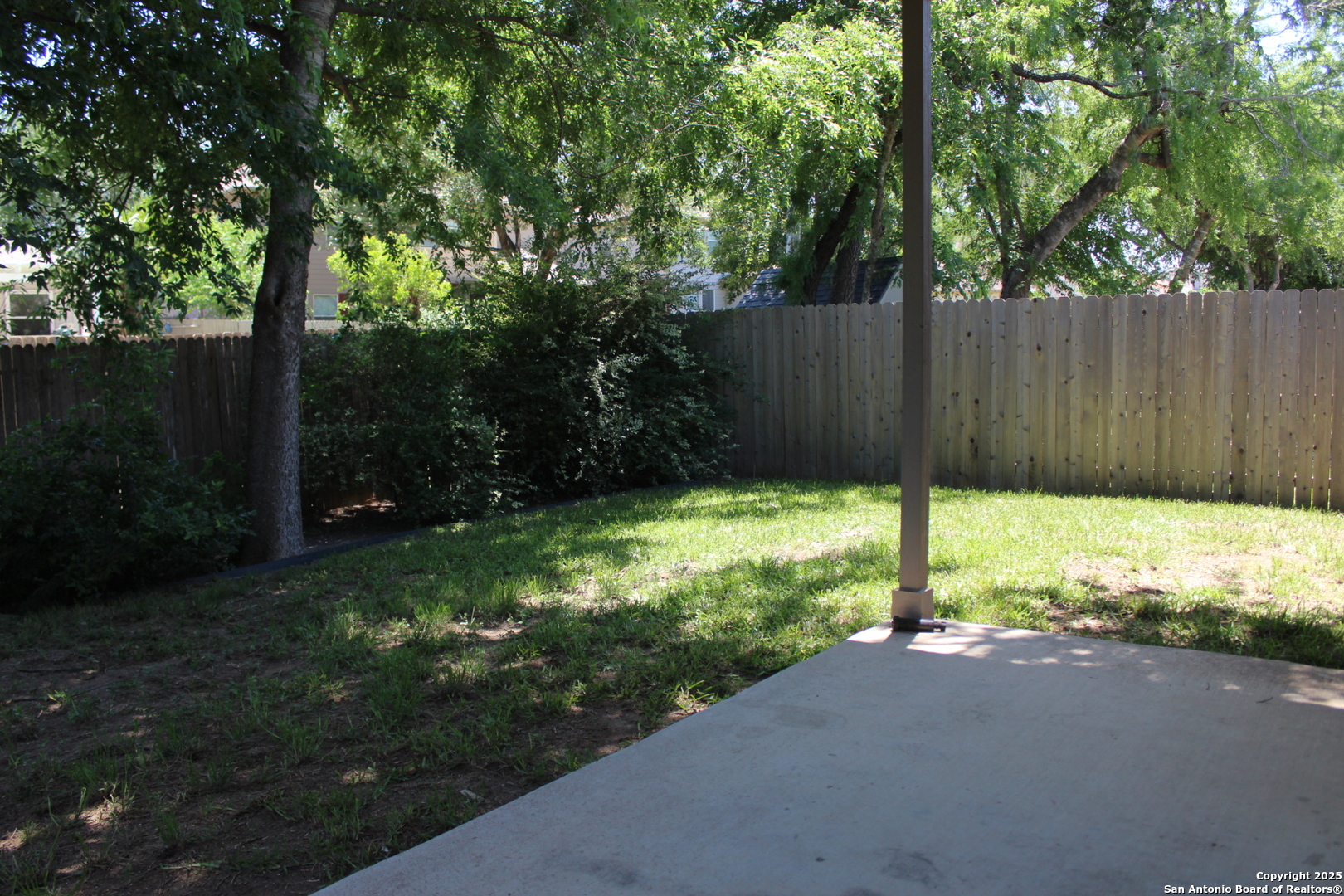 482 Walnut Crest Selma, TX 78154 - Photo 18 of 19 a backyard of a house with plants and large trees