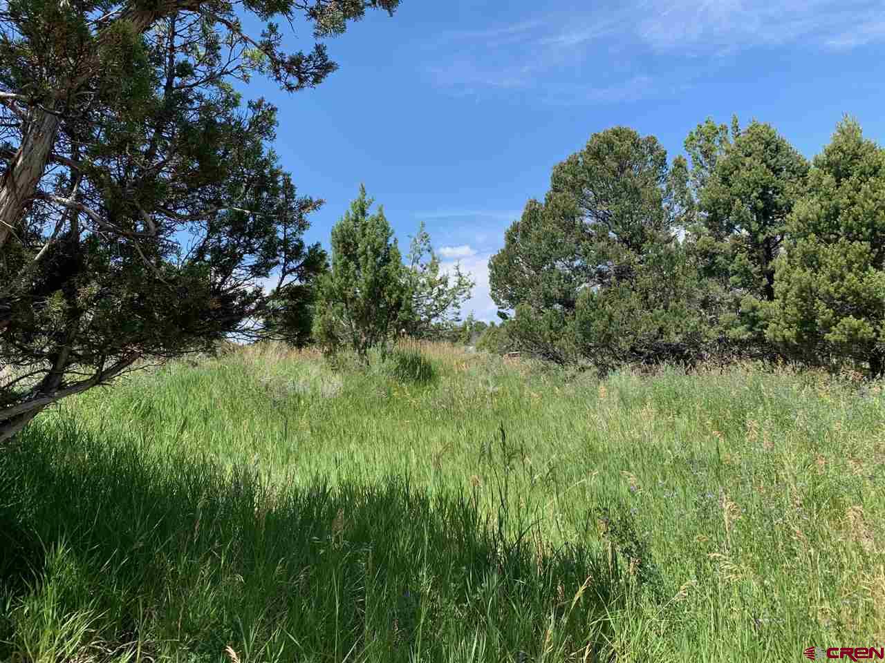 678 3375th Road Crawford, CO 81415 - Photo 24 of 42 Gallery Image 24