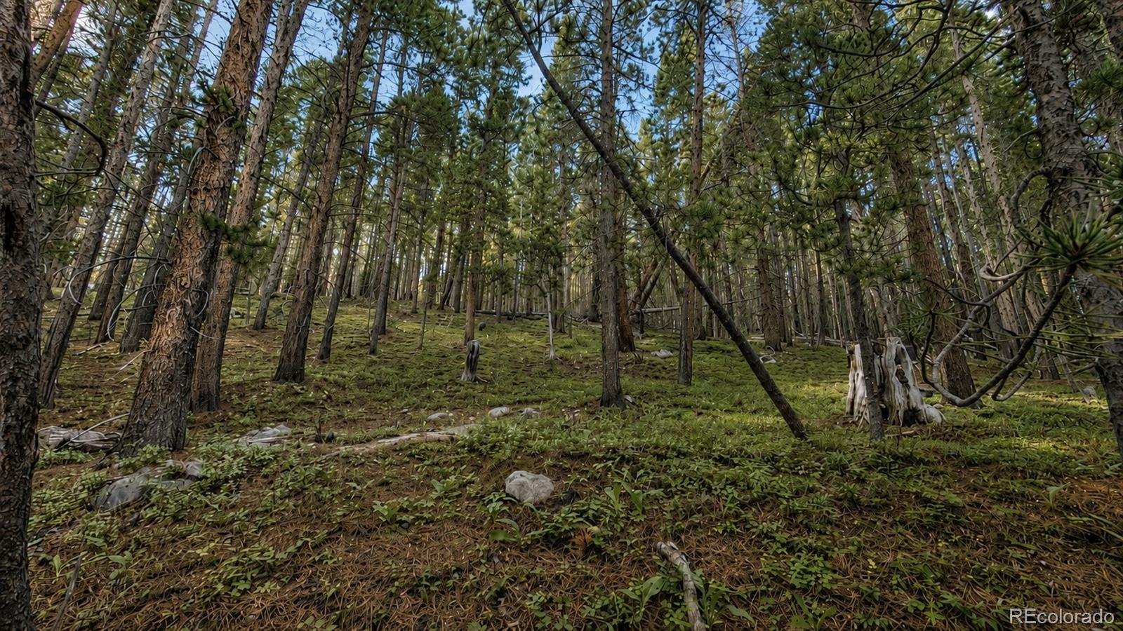 0 Steuart Road Idaho Springs, CO 80452 - Photo 4 of 19 Gallery Image 4