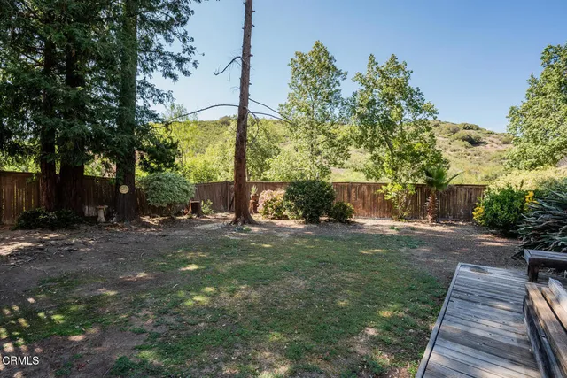 a view of a yard with plants and a bench