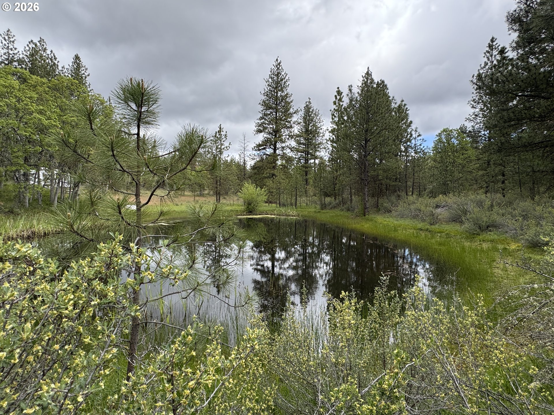 Old Mountain Road Goldendale, WA 98620 - Photo 23 of 41