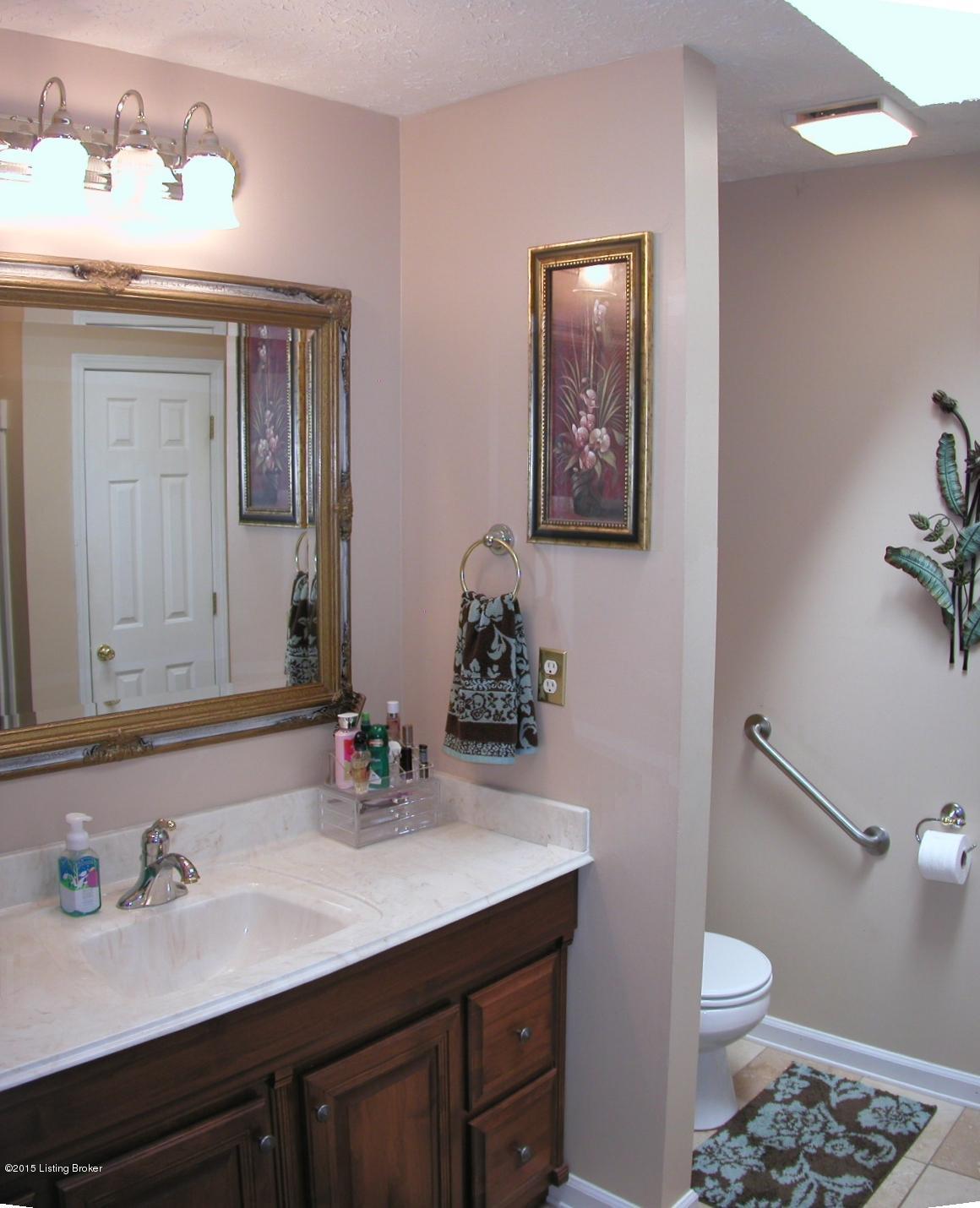 1756 Cedarmore Road Bagdad, KY 40003 - Photo 13 of 78 Master Bath with Skylight