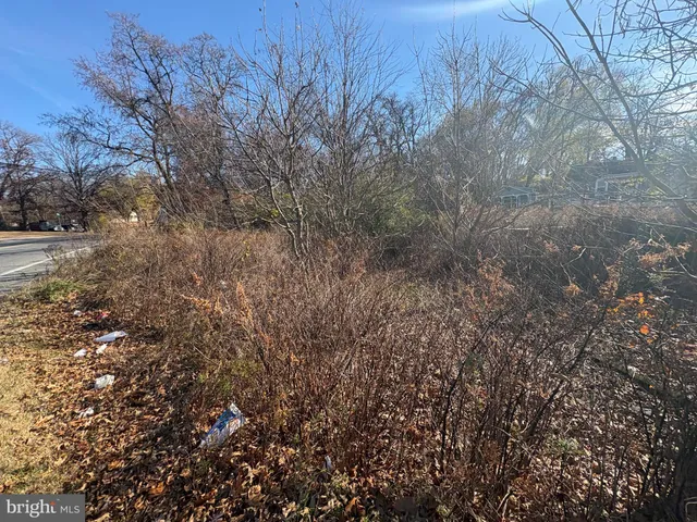 a view of a dry yard