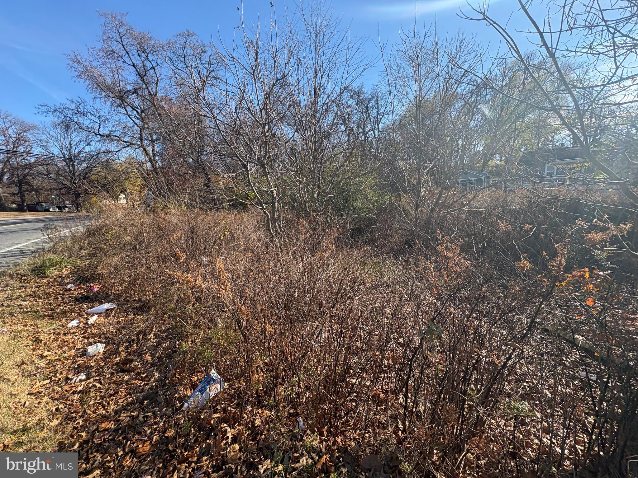 a view of a dry yard
