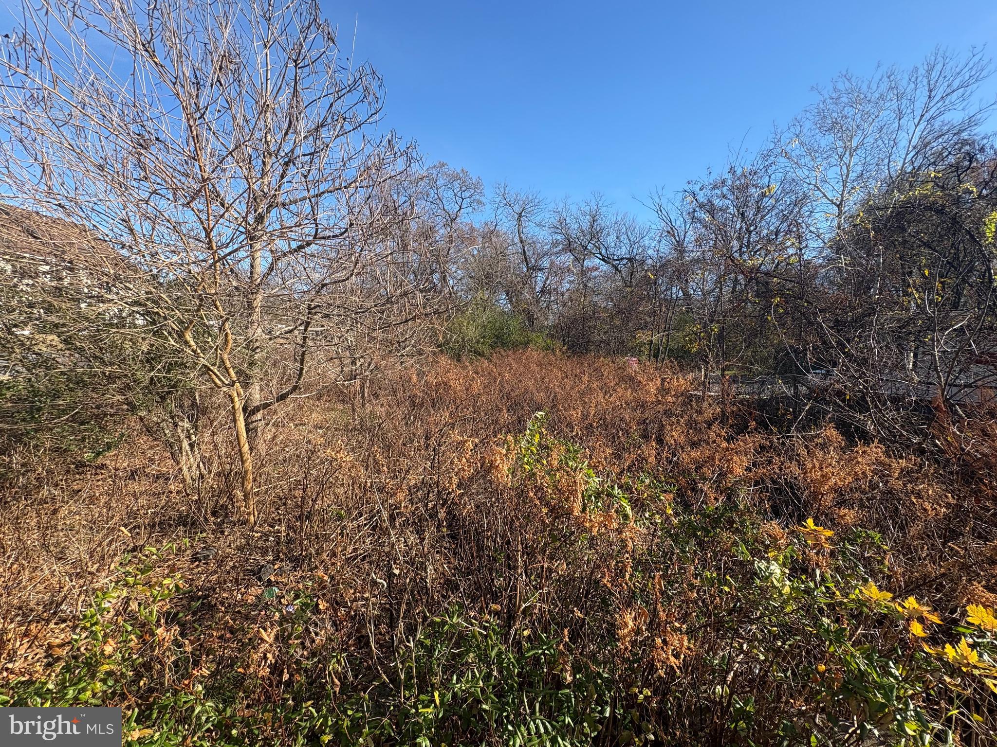 7327 East Furnace Branch Road Glen Burnie, MD 21060 - Photo 2 of 3 a view of a yard with a tree