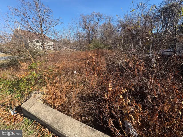 a view of outdoor space and garden
