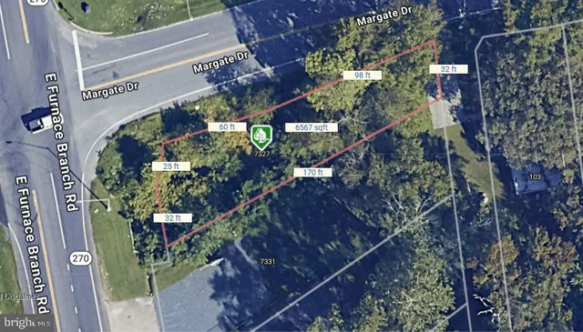 a picture of flowers