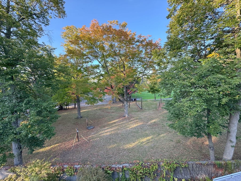 156 Park Street, Unit 3 Newton, MA 02458 - Photo 10 of 10 a road view with large trees