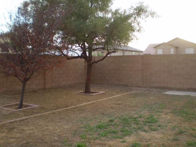 11233 West Coronado Road Avondale, AZ 85392 - Photo 4 of 5 back yard
