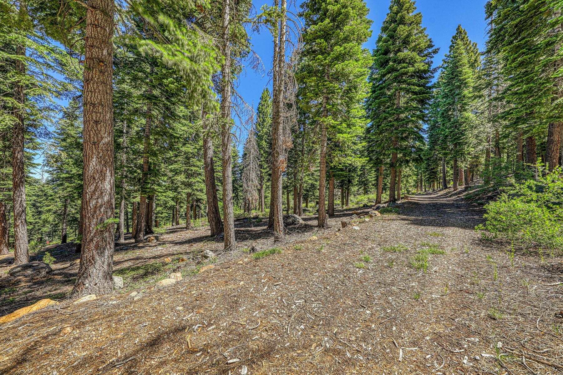 2620 Mill Site Road Truckee, CA 96161 - Photo 8 of 19 Gallery Image 8