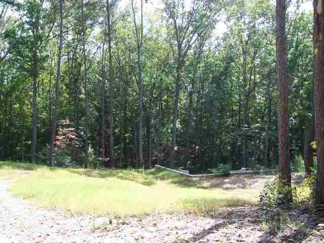 70 Peninsula Point Martin, GA 30557 - Photo 1 of 3 Gallery Image 1