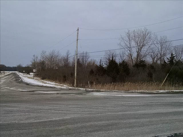 0 Ceila Road Carleton, MI 48117 - Photo 2 of 9