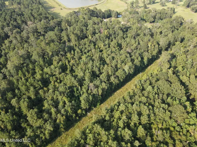 $132,000 | 0 Burnt Bridge Road, Ellisville, MS 39437