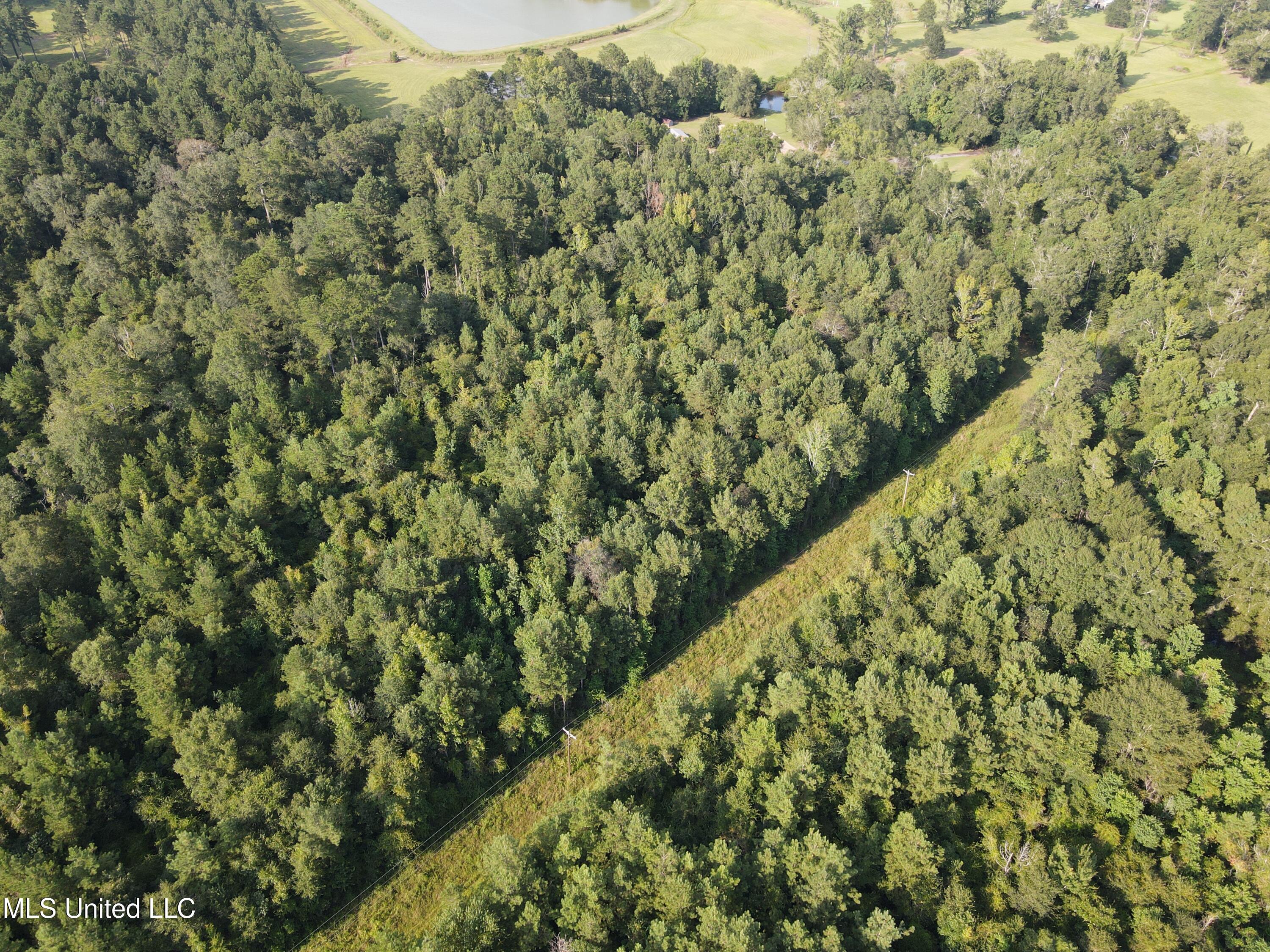 0 Burnt Bridge Road Ellisville, MS 39437 - Photo 12 of 25 dji_fly_20250820_171552_73_1755728185710