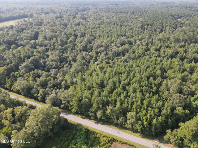 $132,000 | 0 Burnt Bridge Road, Ellisville, MS 39437