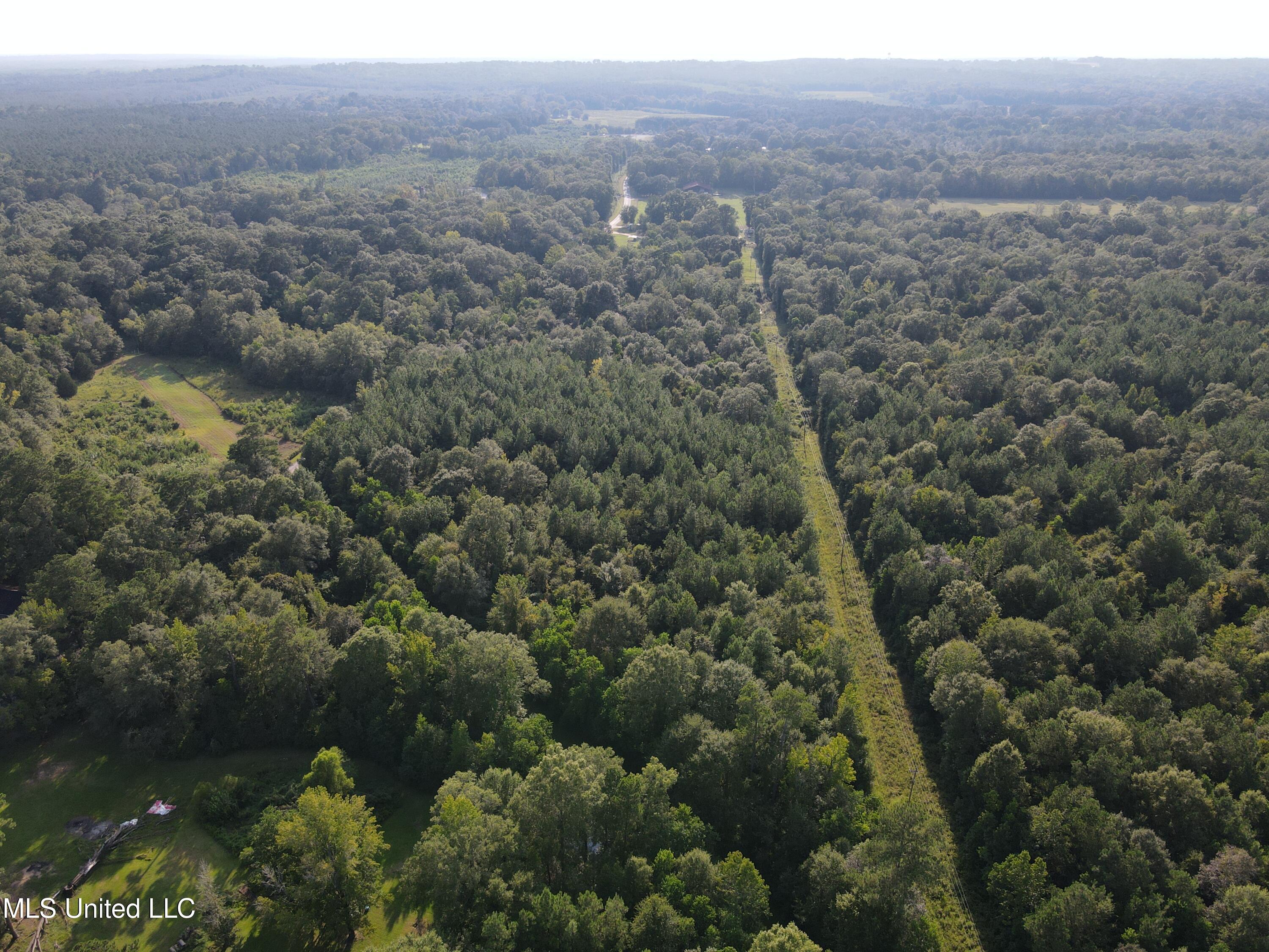 0 Burnt Bridge Road Ellisville, MS 39437 - Photo 15 of 25 DJI_0074