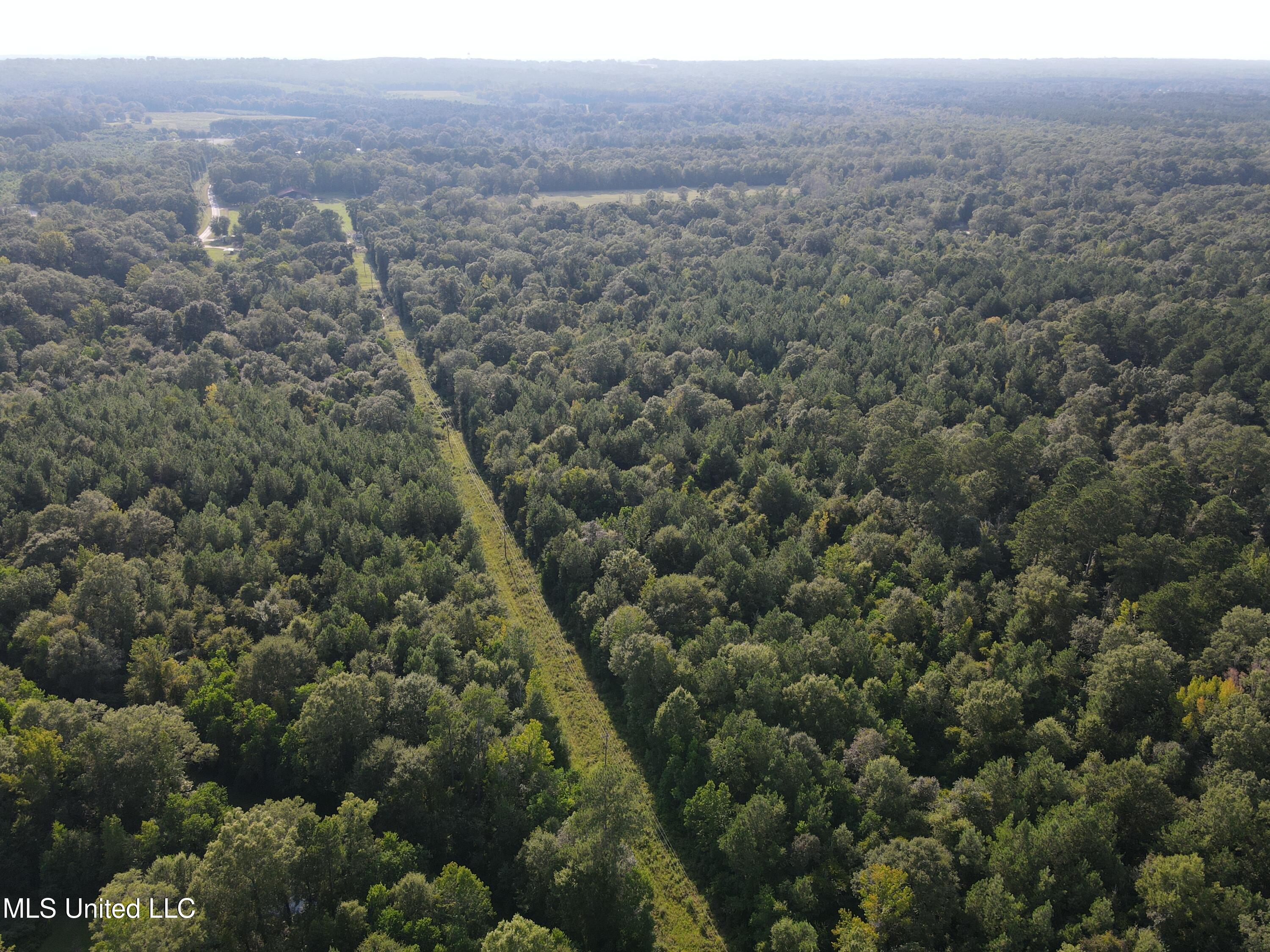0 Burnt Bridge Road Ellisville, MS 39437 - Photo 16 of 25 DJI_0075