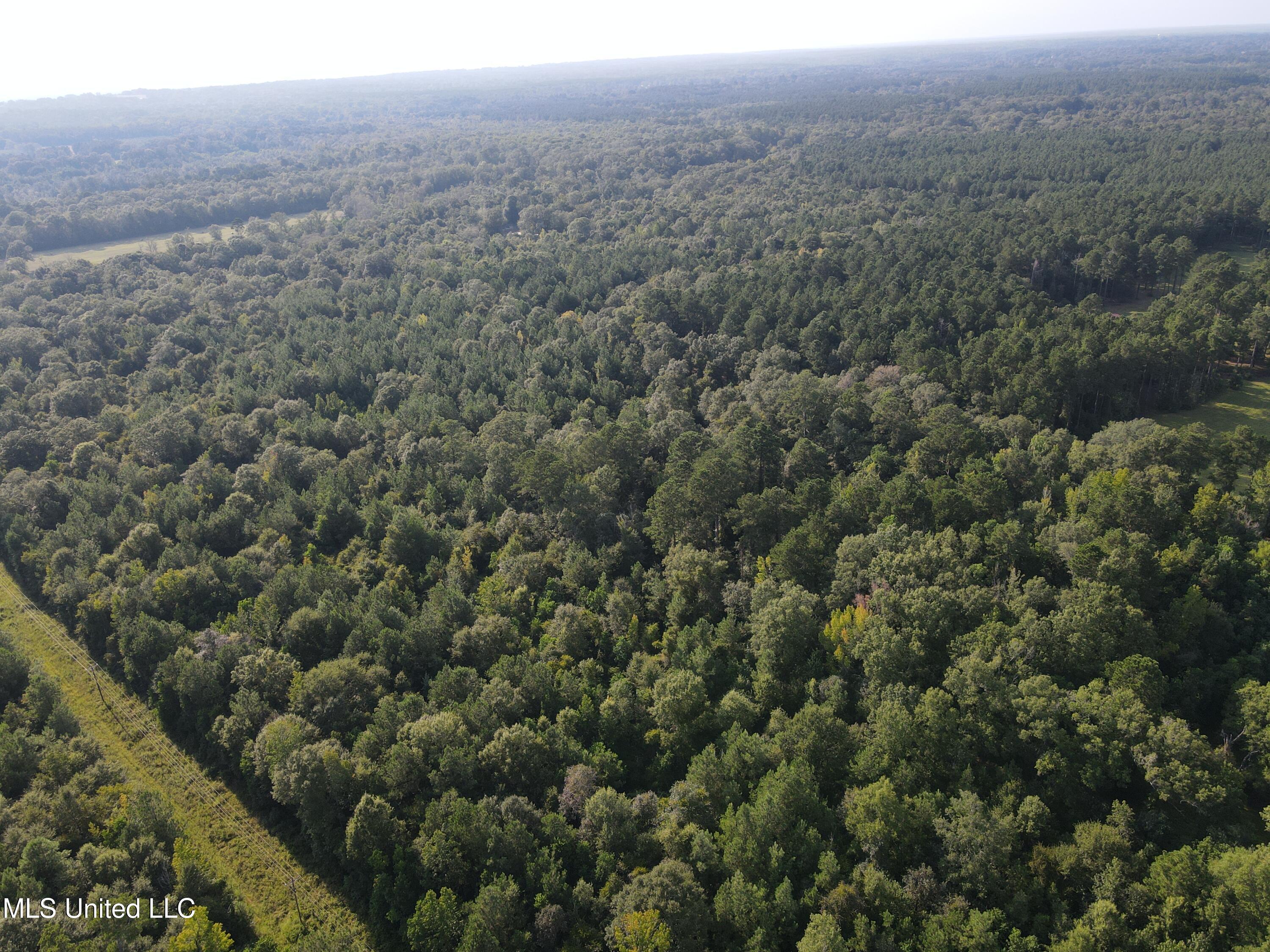 0 Burnt Bridge Road Ellisville, MS 39437 - Photo 17 of 25 DJI_0076