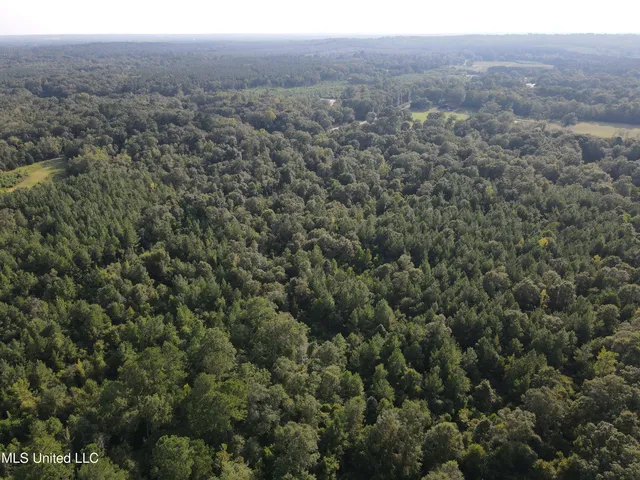 $132,000 | 0 Burnt Bridge Road, Ellisville, MS 39437