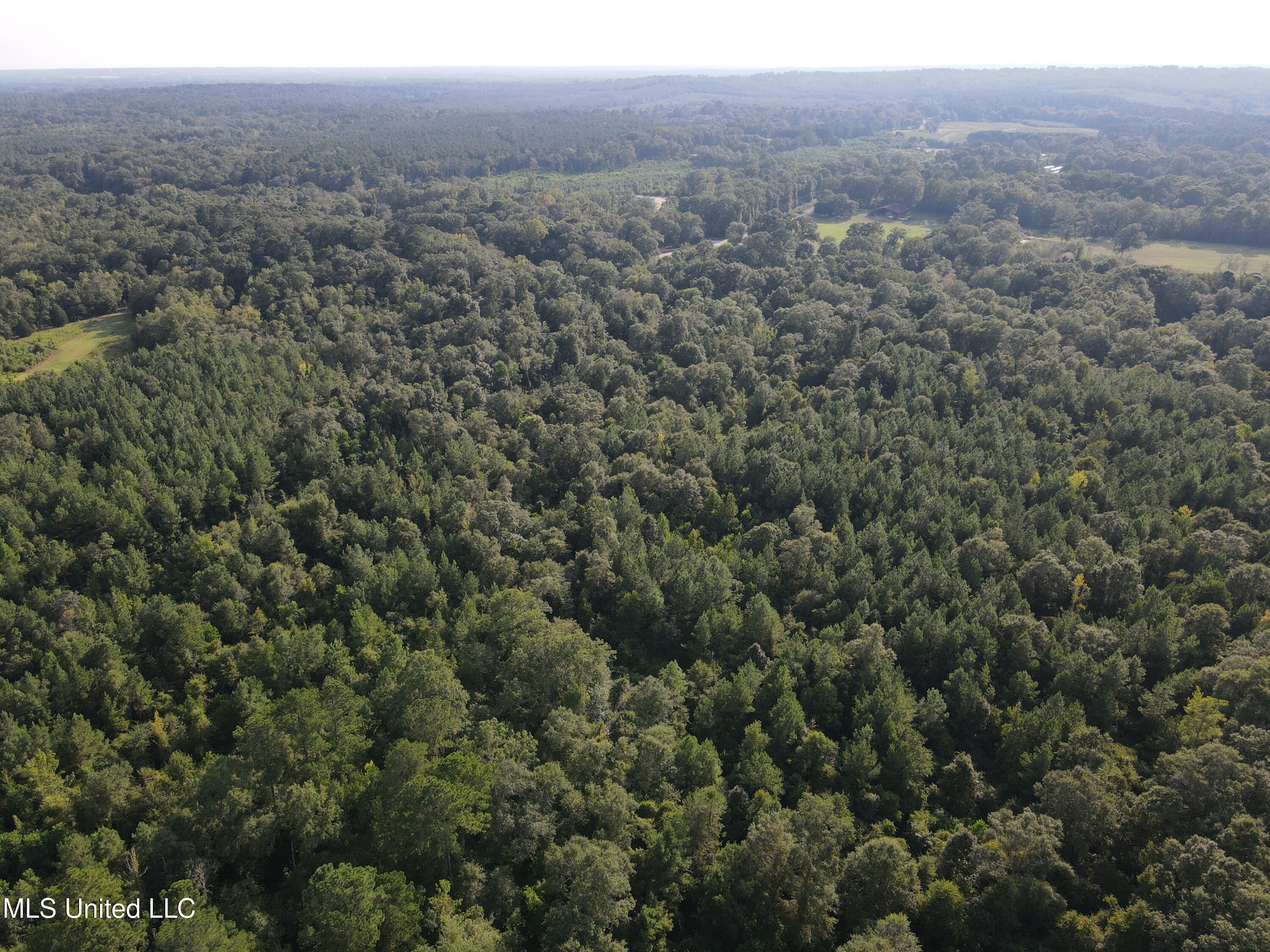 0 Burnt Bridge Road Ellisville, MS 39437 - Photo 18 of 25 DJI_0077