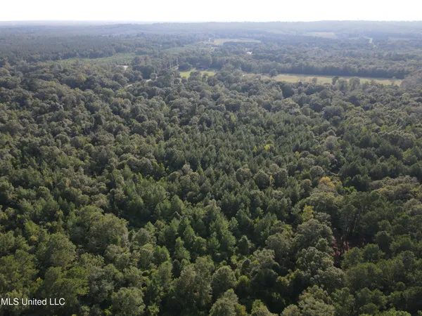 $108,000 | 0 Burnt Bridge Road, Ellisville, MS 39437