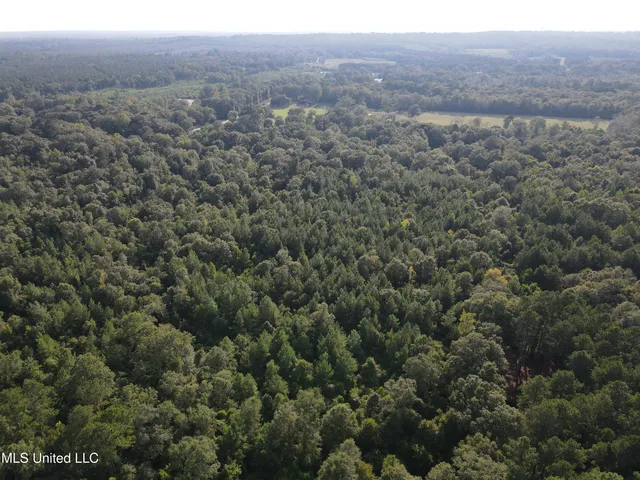 $132,000 | 0 Burnt Bridge Road, Ellisville, MS 39437