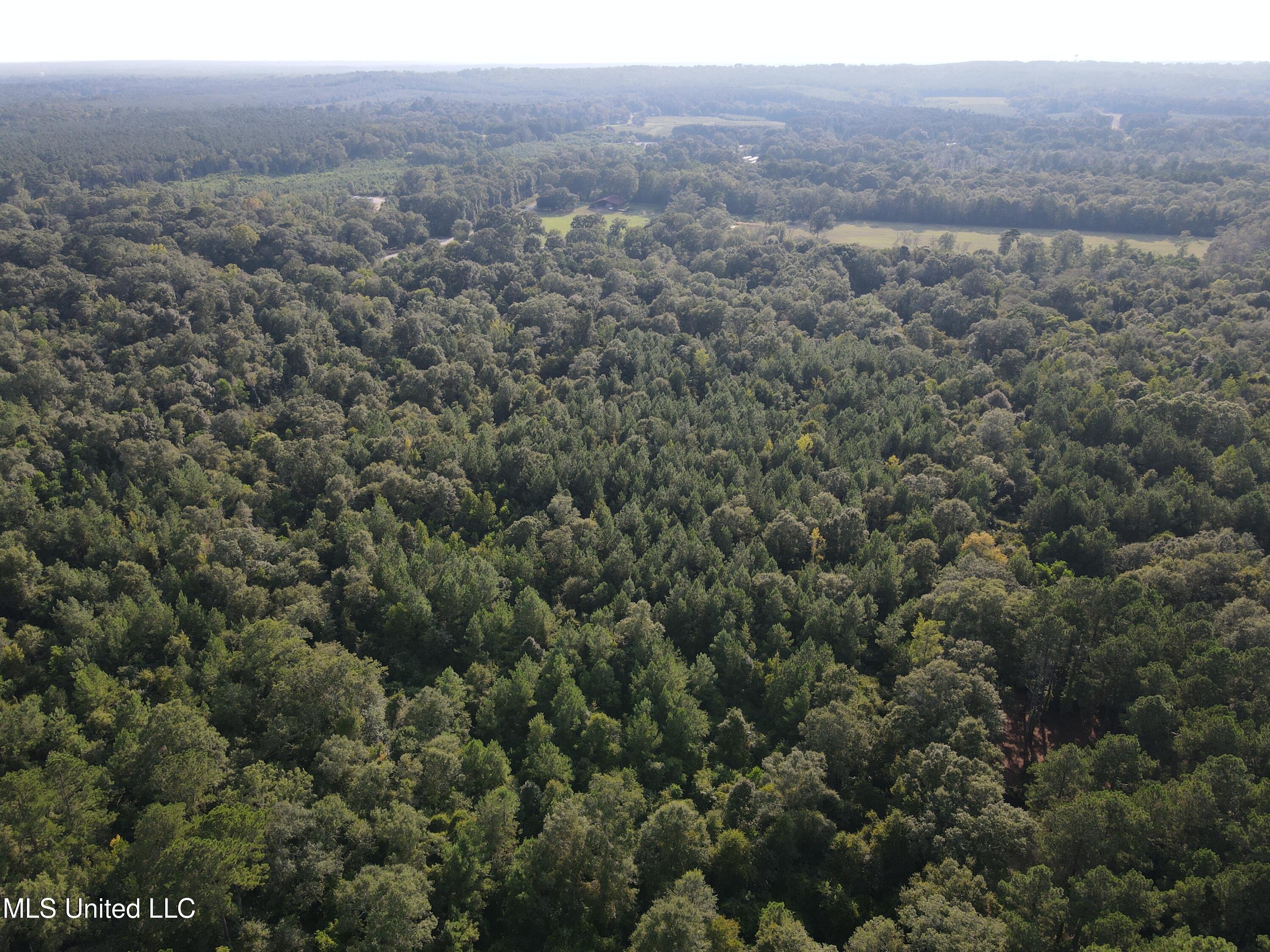 0 Burnt Bridge Road Ellisville, MS 39437 - Photo 19 of 25 DJI_0078